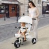 Tricycle Enfant Évolutif avec Canopy et Poignée Parentale