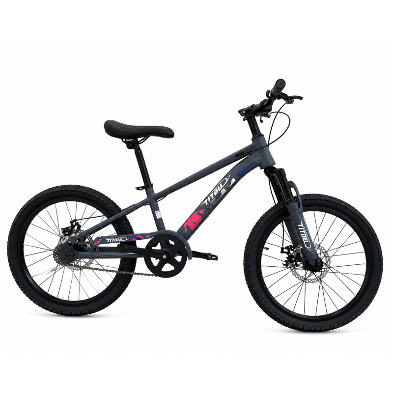 Vélo Enfant  20 Pouces – Cadre Acier – Freins V-Brake – BLEU