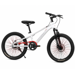 Vélo Enfant  20 Pouces –...