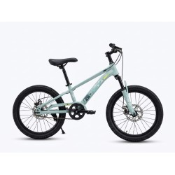 Vélo Enfant  20 Pouces –...