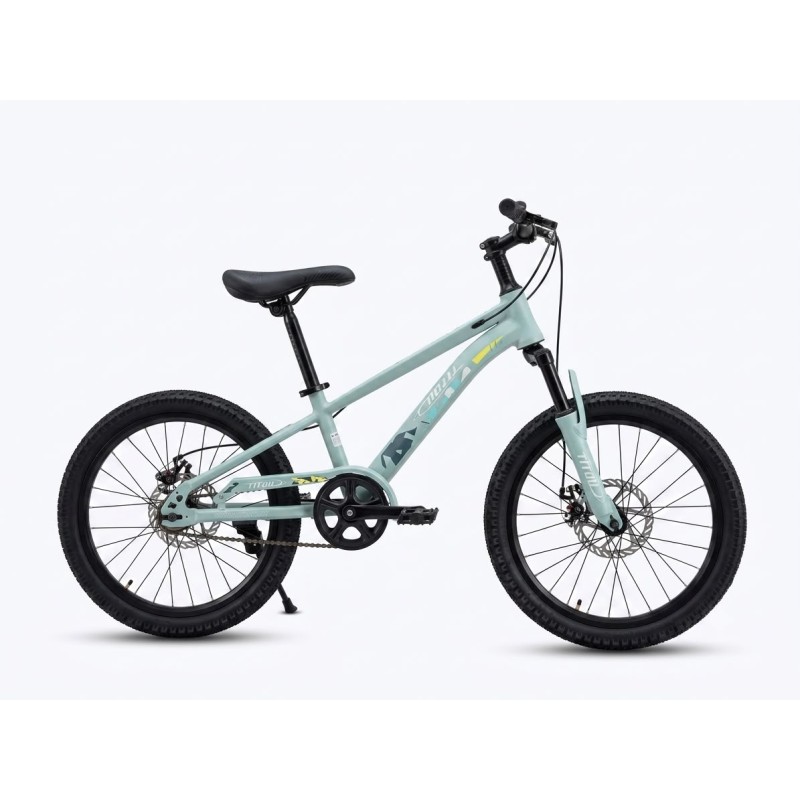 Vélo Enfant  20 Pouces – Cadre Acier – Freins V-Brake – BLEU TIRCOISE
