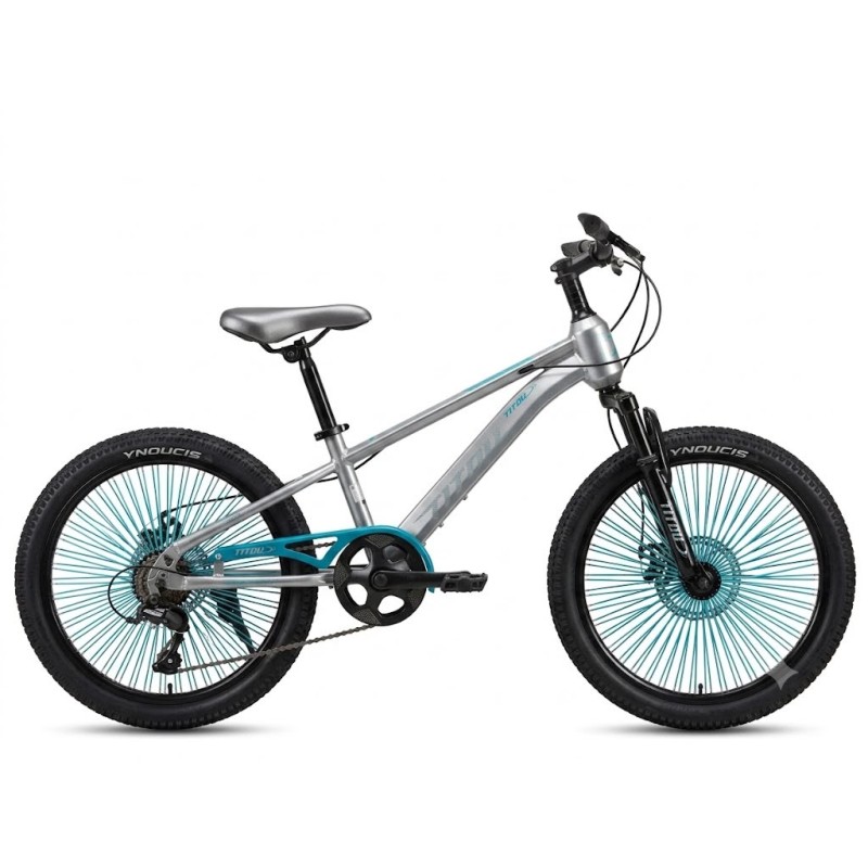 Vélo Enfant  20 Pouces – Cadre Acier – Freins V-Brake – GRIS