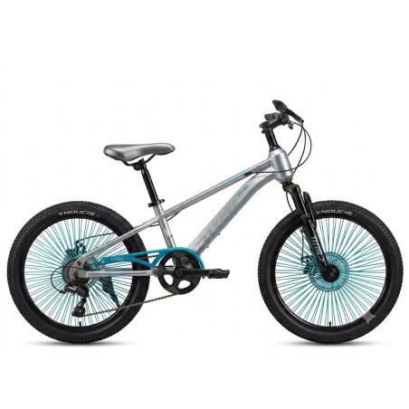 Vélo Enfant  20 Pouces – Cadre Acier – Freins V-Brake – GRIS