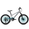 Vélo Enfant  20 Pouces – Cadre Acier – Freins V-Brake – GRIS