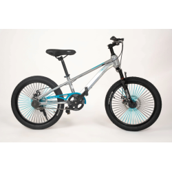 Vélo Enfant  20 Pouces –...