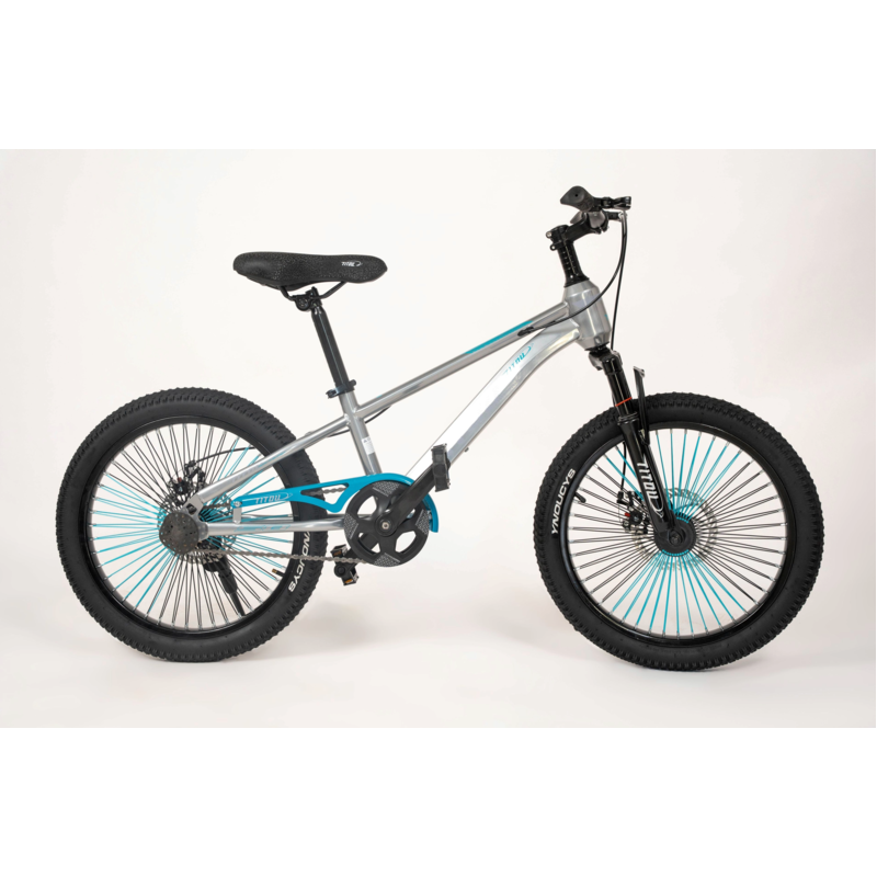 Vélo Enfant  20 Pouces – Cadre Acier – Freins V-Brake – GRIS