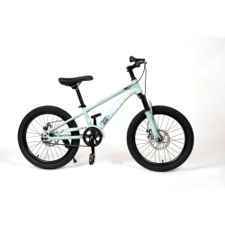 Vélo Enfant  20 Pouces –...