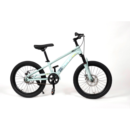 Vélo Enfant  20 Pouces – Cadre Acier – Freins V-Brake – BLEU TIRCOISE