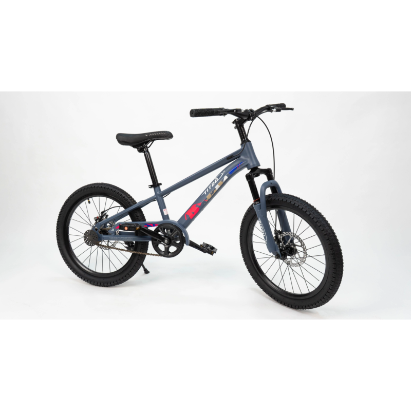 Vélo Enfant  20 Pouces – Cadre Acier – Freins V-Brake – BLEU