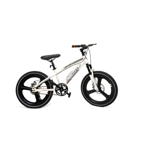 Vélo Enfant TITOU Kids 20" Alloy – VTT Aluminium 6061 à Freins à Disque | DHFYTL20