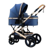 Poussette Landau Bébé 2 en 1 Réversible | Baby MCM